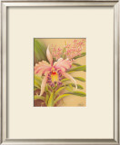 Buy Pink Cattleya at AllPosters.com