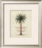 Palma de Coco