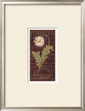 Buy African Daisy II at AllPosters.com