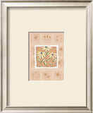 Buy Black-Eyed Susans at AllPosters.com
