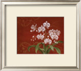 Say it with Orchids II