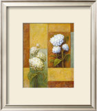 Buy Blue and White Hydrangea at AllPosters.com
