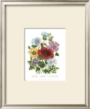 Buy Hibiscus at AllPosters.com