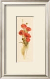 Buy Crimson Poppy at AllPosters.com