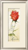 Buy Rose Gabriella at AllPosters.com