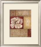 Patchwork Poppy