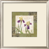Buy Garden Inspiration II at AllPosters.com