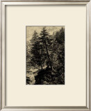Buy Larch Tree at AllPosters.com