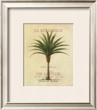 Buy La Botanique at AllPosters.com