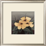 Buy Yellow Flowers I at AllPosters.com