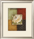 Beautiful as Peonies II