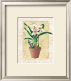 Buy Potted Cymbidium at AllPosters.com