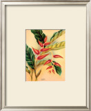 Buy Heliconia at AllPosters.com