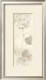 Buy Armonia con Cuore at AllPosters.com