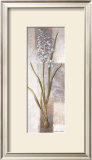 Buy Freesia at AllPosters.com