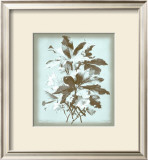 Buy Dussurgey Ellebore on Blue at AllPosters.com