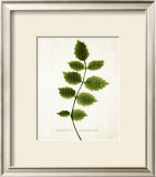 Buy Flirt at AllPosters.com