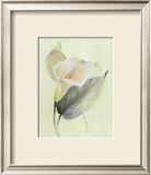 Buy Calla Lily III at AllPosters.com