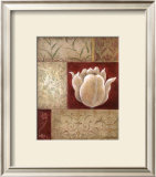 Patchwork Tulip