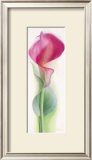 Buy Pink Calla III at AllPosters.com