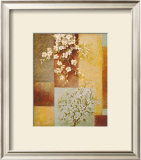 Buy Apple Blossoms at AllPosters.com