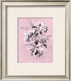 Buy Dussurgey Hydrangea on Pink at AllPosters.com