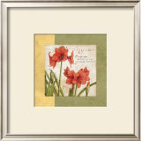 Buy Garden Inspiration IV at AllPosters.com
