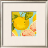 Buy Fresh Grapefruits at AllPosters.com