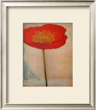 Papavero Framed Art Print