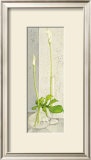 Buy Water Games at AllPosters.com