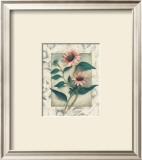 Buy Echinacea at AllPosters.com