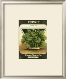 Buy Turnip at AllPosters.com