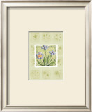 Buy Petunias at AllPosters.com