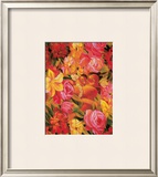 Buy Afterglow at AllPosters.com