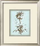 Buy Dussurgey Imperiale on Blue at AllPosters.com