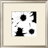 Buy Daisies I at AllPosters.com