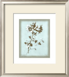 Buy Dussurgey Amaryllis on Blue at AllPosters.com