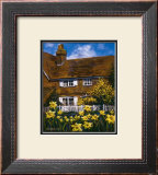 Cottage of Delights III