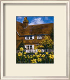 Cottage of Delights III