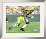 Al Harris 2009