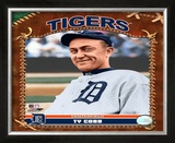 Ty Cobb