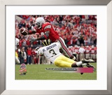 Santonio Holmes
