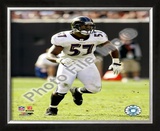 Bart Scott