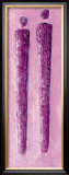 Buy Blackberry Twins at AllPosters.com