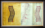 Buy Double Helix at AllPosters.com
