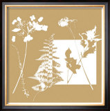 Buy Yin and Yang II at AllPosters.com