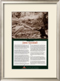 Buy Women of Science - Jane Goodall at AllPosters.com