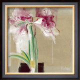 Buy Amaryllis Tachete at AllPosters.com