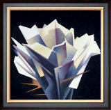 Buy Arid Flower at AllPosters.com