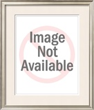 Buy Astronauts of Apollo 11 at AllPosters.com